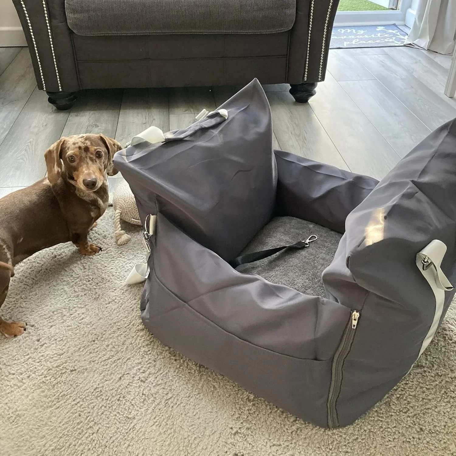 Lesure Small Dog Car Seat for  - Car Accessories Under 100 recension och pris